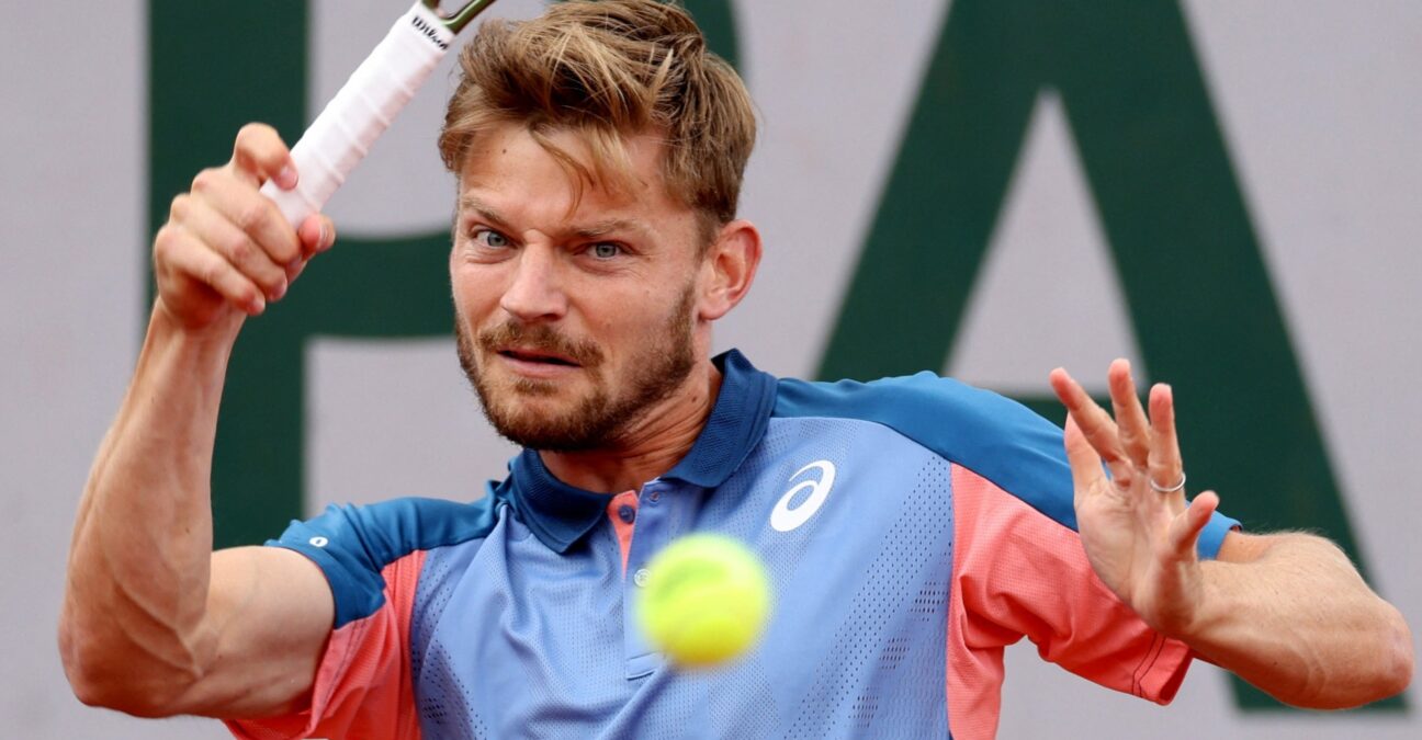 David Goffin