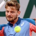 David Goffin