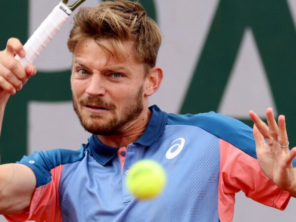 David Goffin