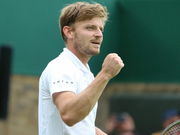 David Goffin at Wimbledon 2022