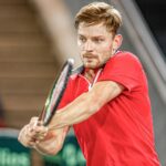 David Goffin backhand