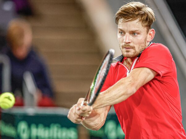 David Goffin backhand