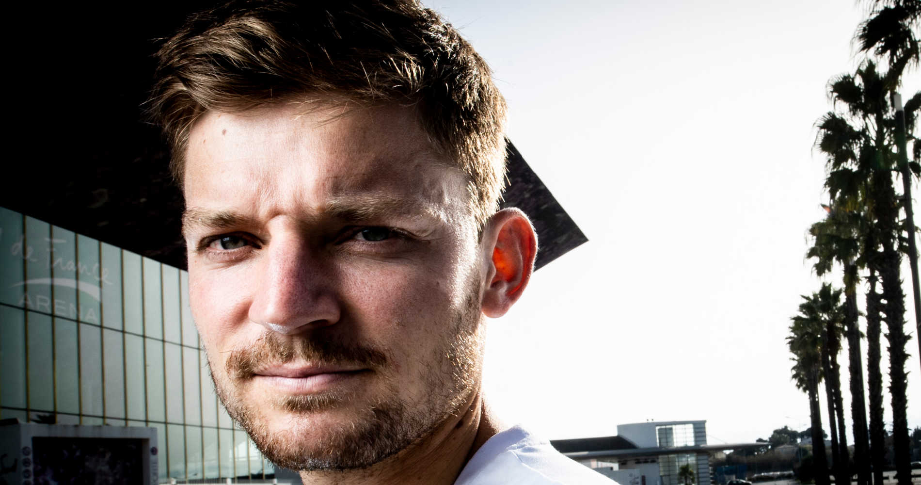 David Goffin