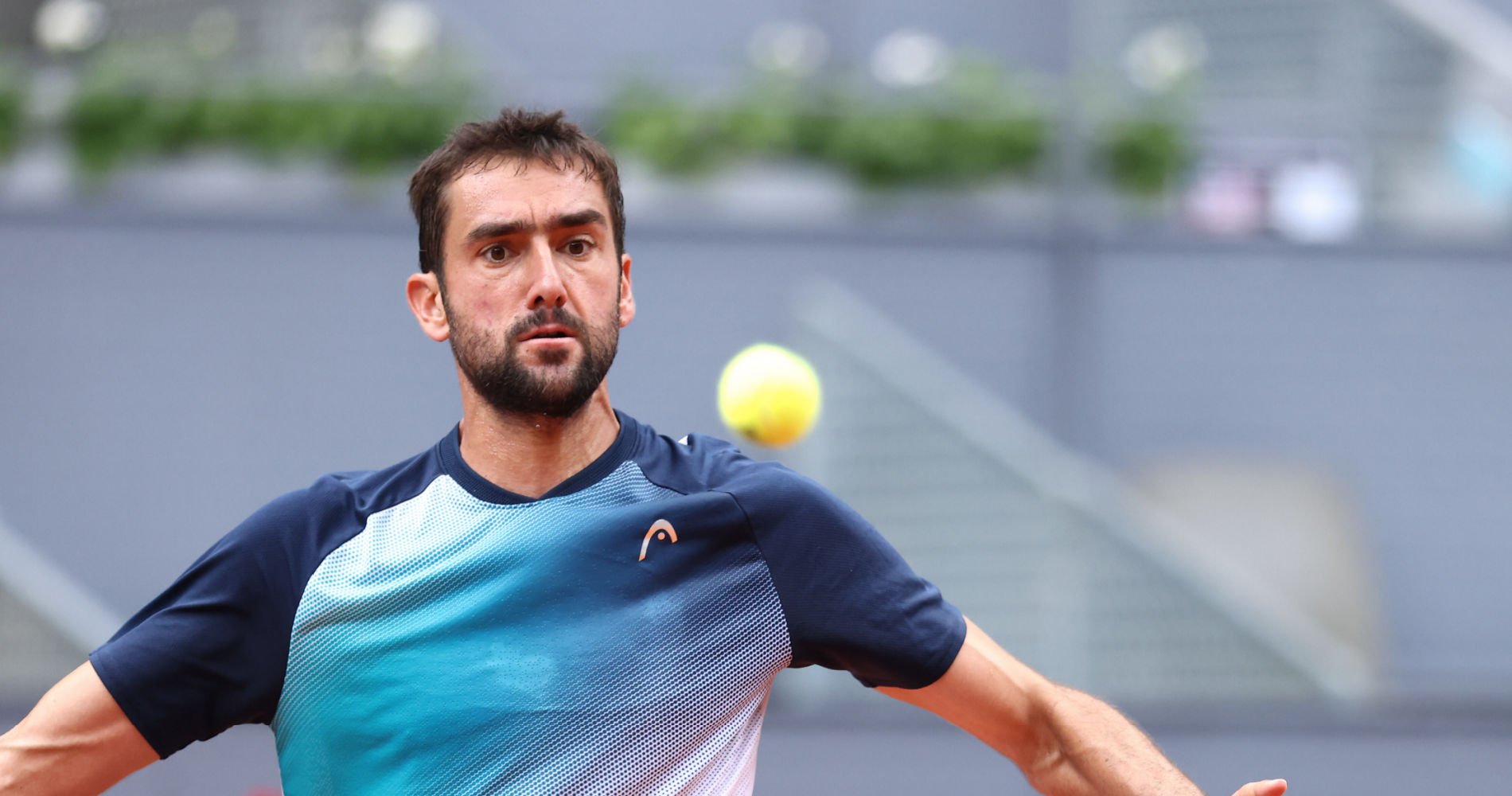 Marin Čilić