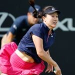 Lin Zhu