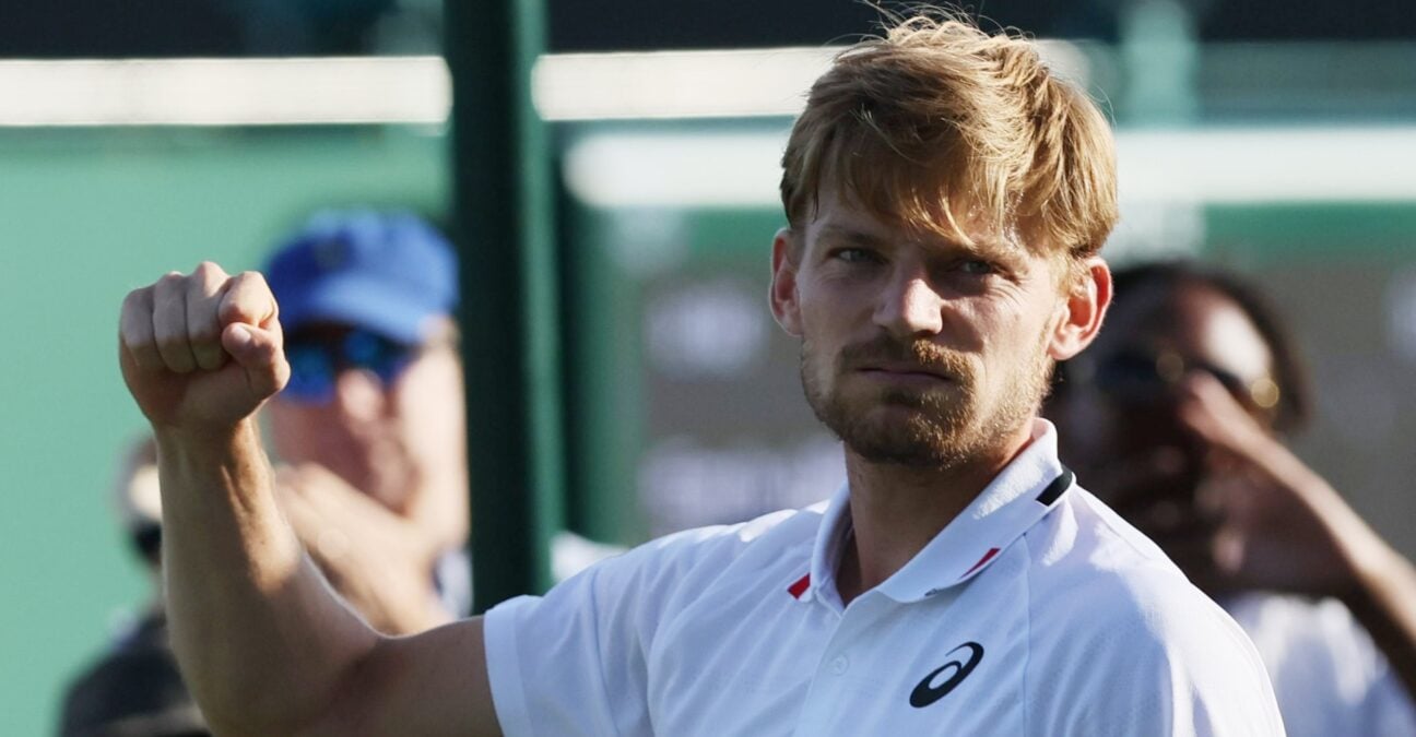 David Goffin
