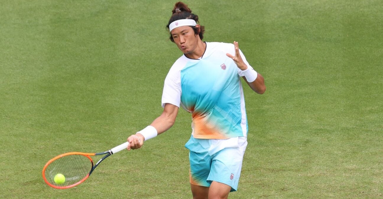 Zhizhen Zhang grass 2023 - Action Plus / Panoramic