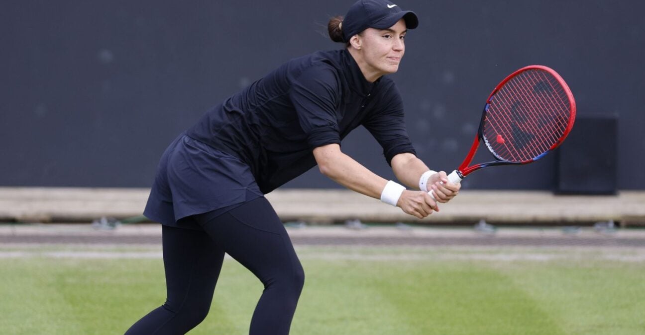 Anhelina Kalinina - Action Plus / Panoramic