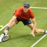 Jannik Sinner, Halle, 2024