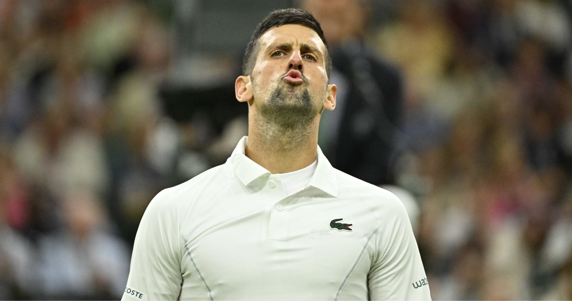 Djokovic crowd interaction at Wimbledon shows fire is back