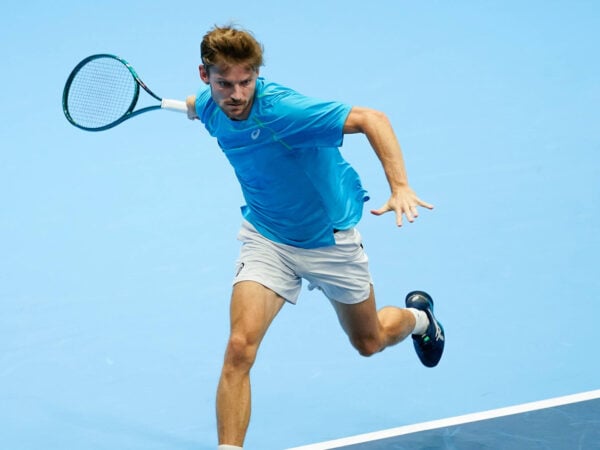 David Goffin