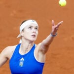 Svitolina 2025