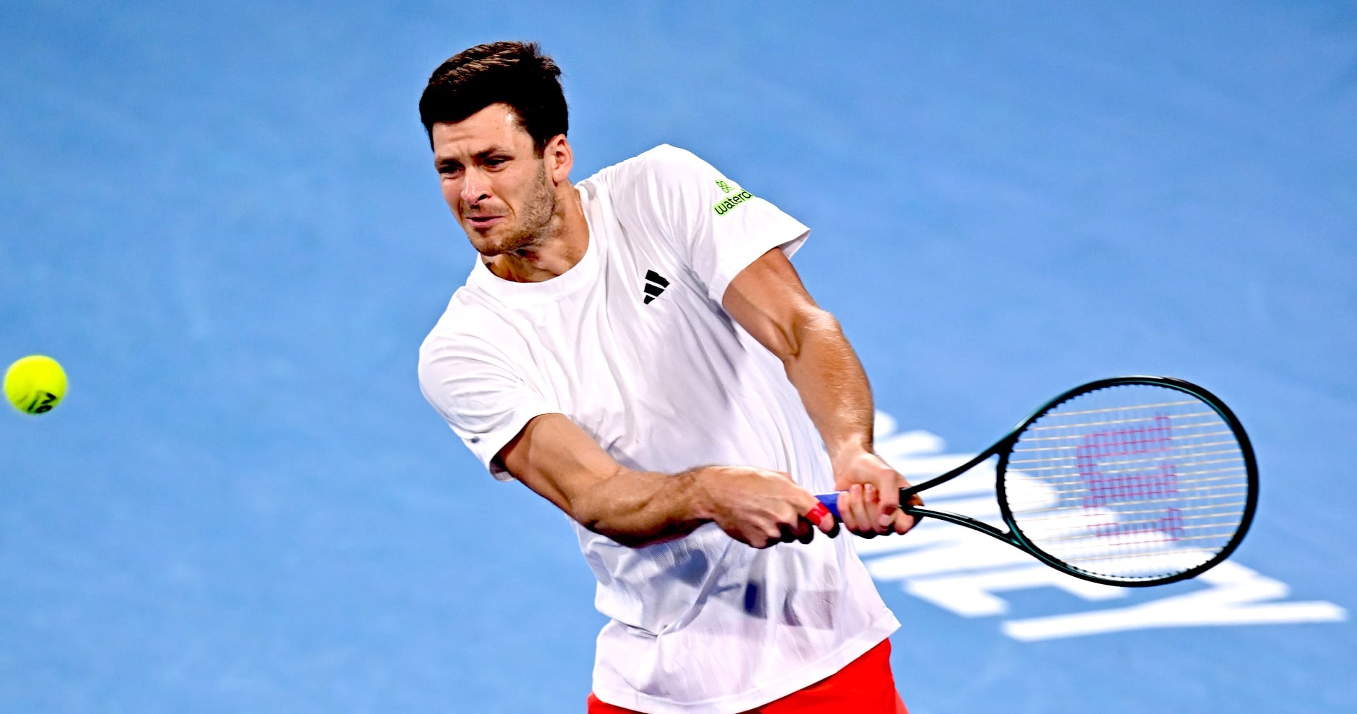 Hubert Hurkacz, Australian Open 2026