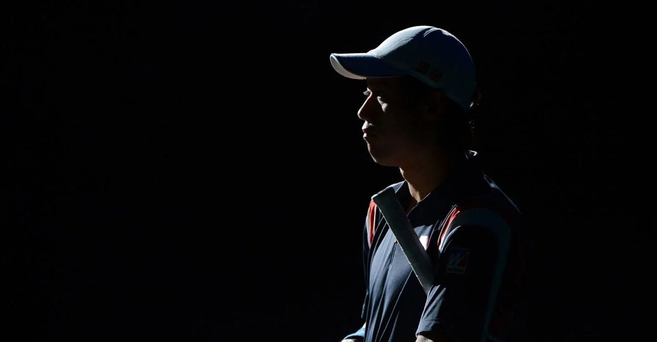 Kei Nishikori, 2014