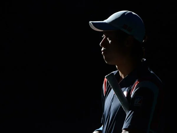 Kei Nishikori, 2014