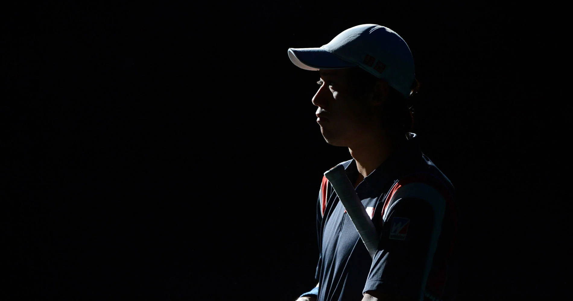 Kei Nishikori, 2014