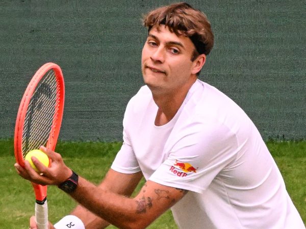 Fabio Cobolli, Halle 2026