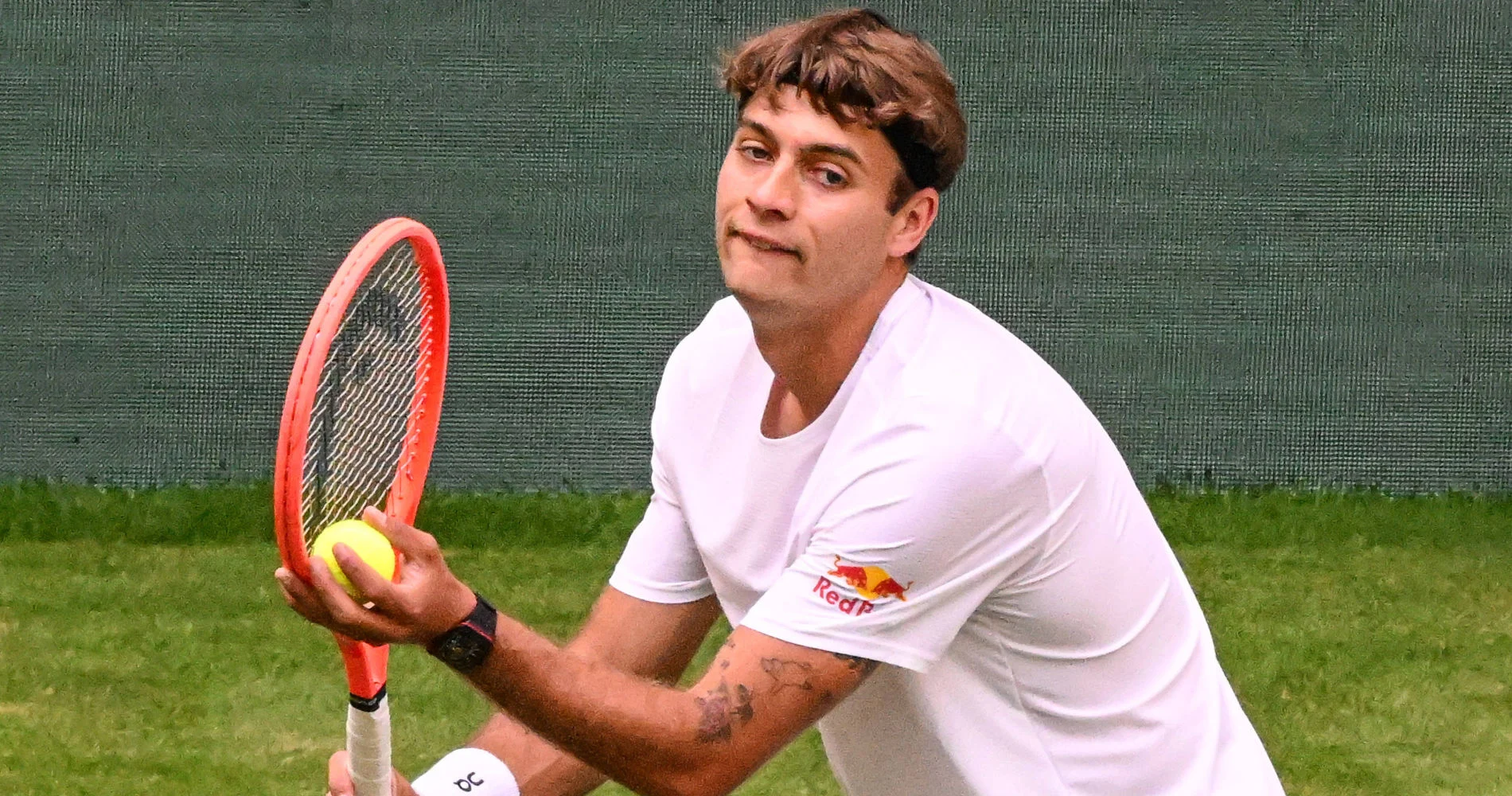 Fabio Cobolli, Halle 2026