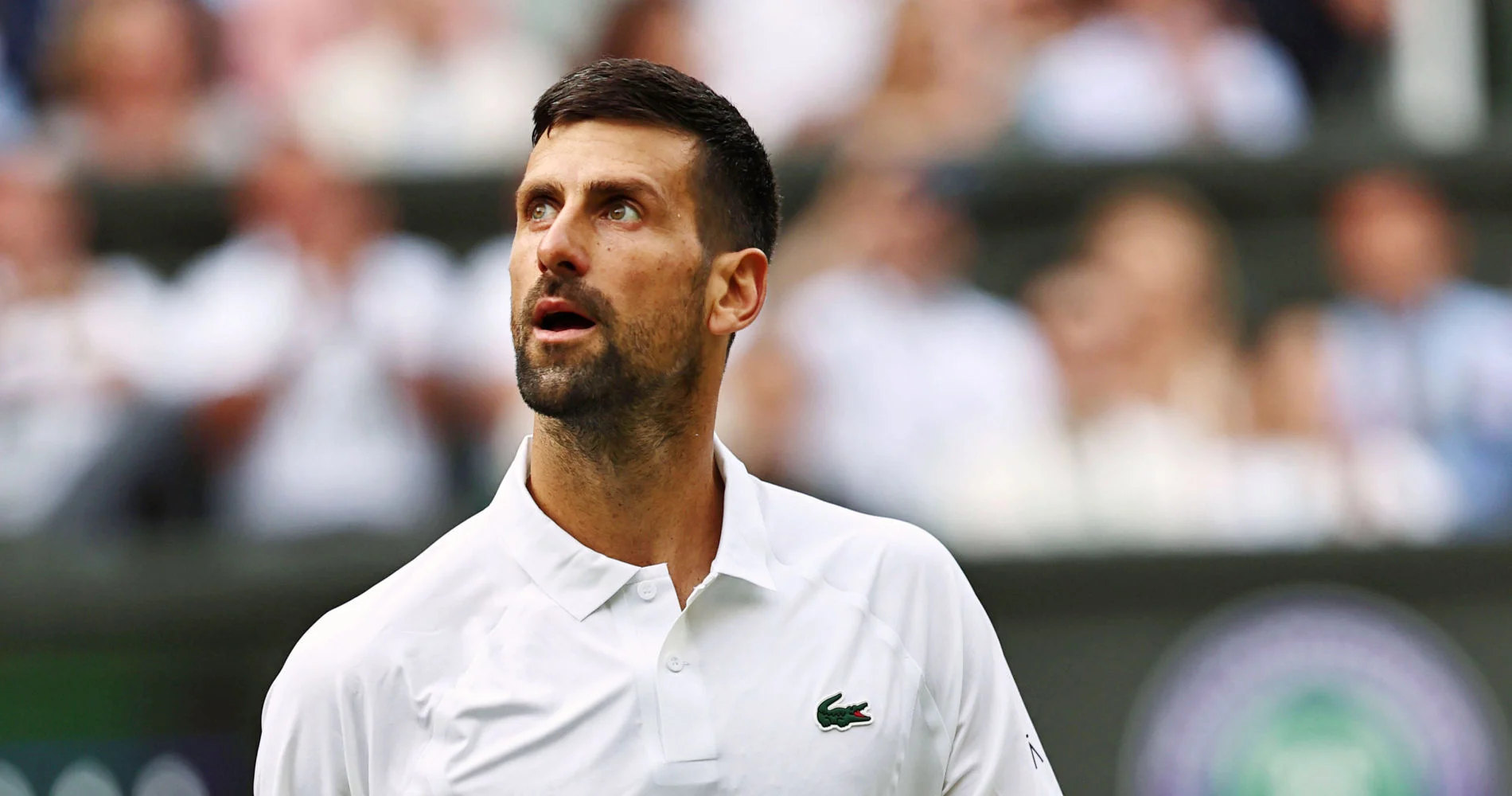 Novak Djokovic, Wimbledon 2026