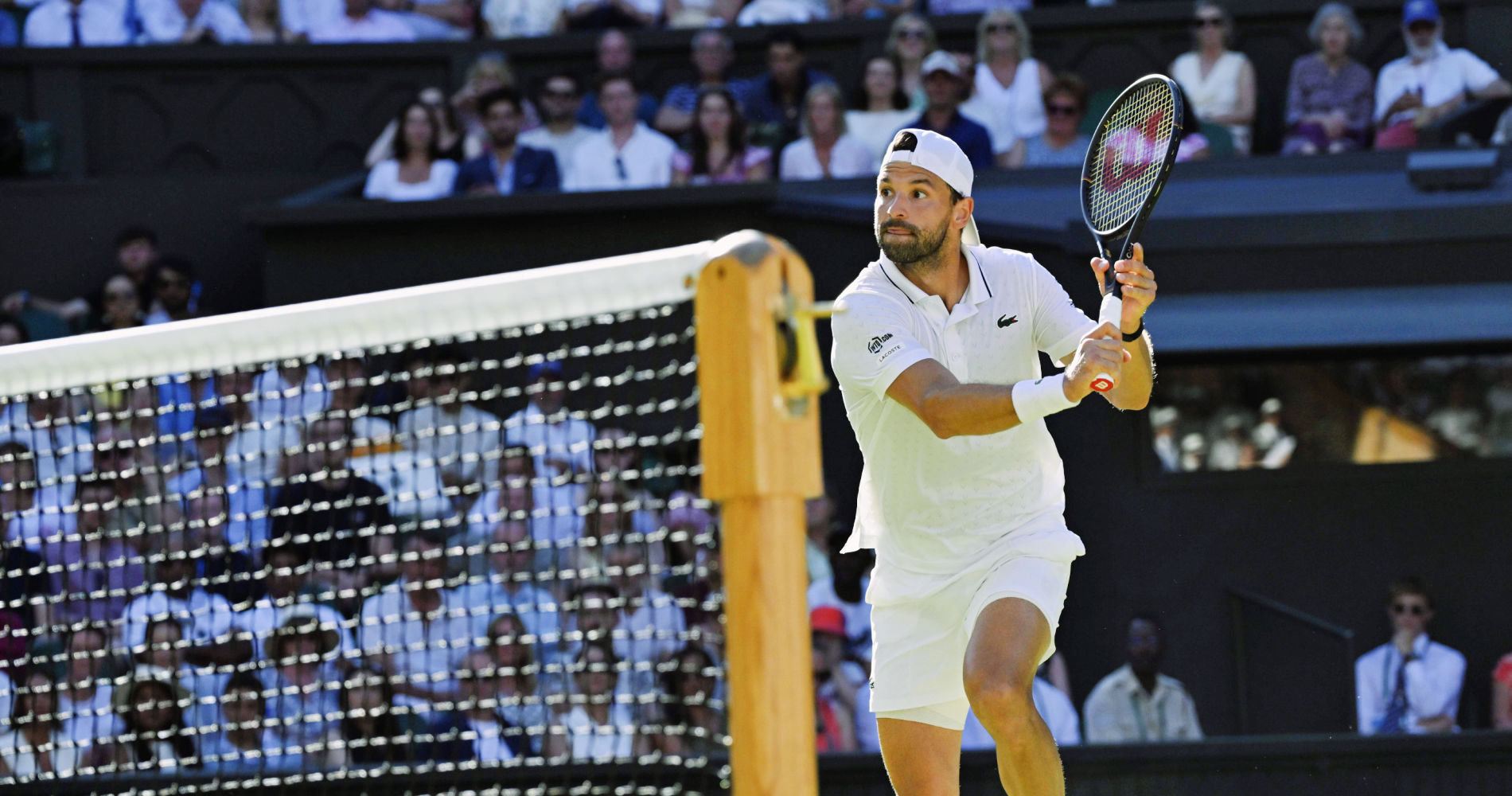 Grigor Dimitrov, Wimbledon 2026