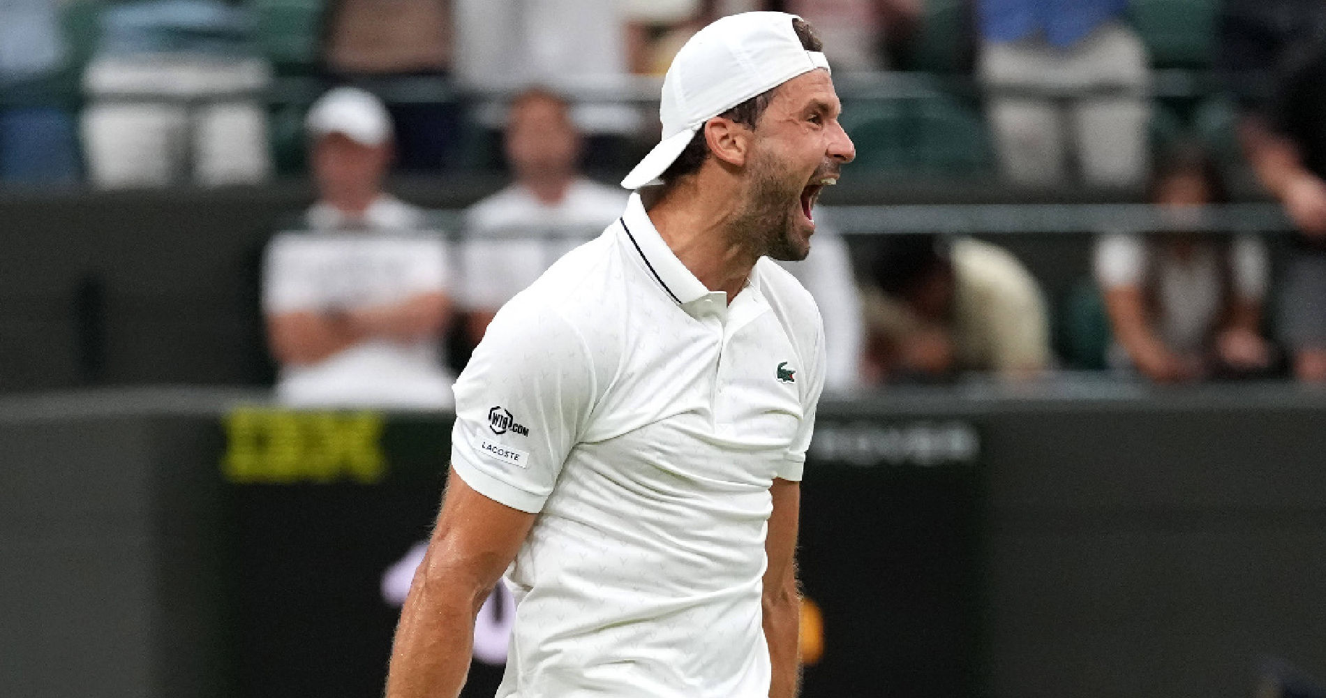 Grigor Dimitrov, Wimbledon 2026