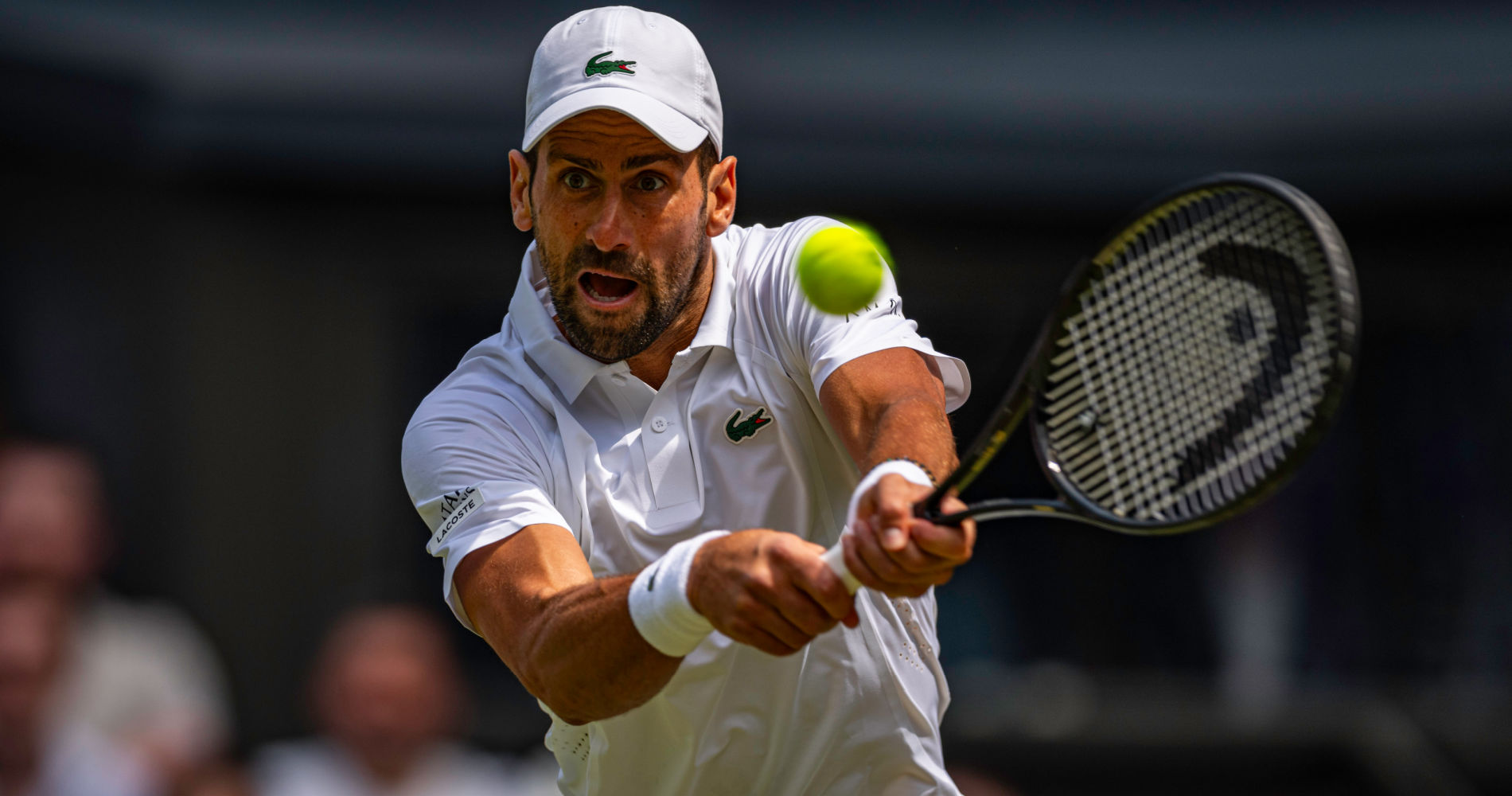 Novak Djokovic, Wimbledon 2026