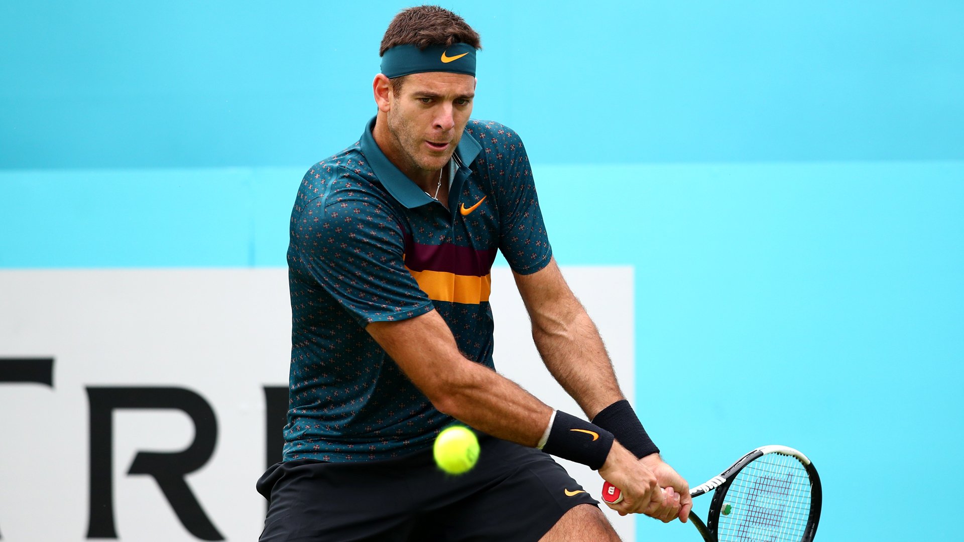 Juan Martin del Potro - Cropped