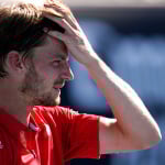 David Goffin, Australian Open 2020
