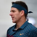 Juan Martin Del Potro, Roland-Garros 2019