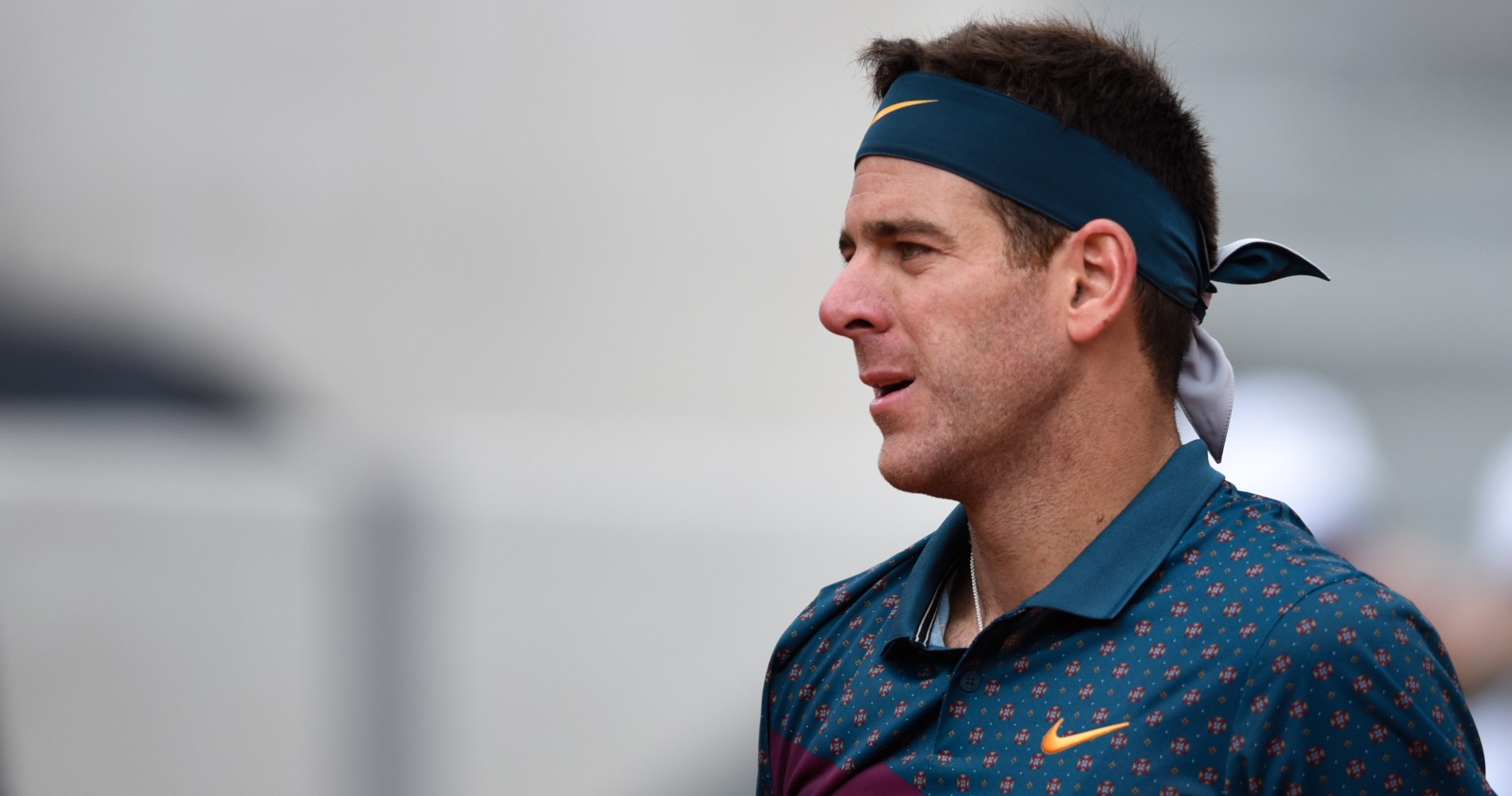 Juan Martin Del Potro, Roland-Garros 2019
