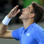 Juan Martin Del Potro, Coupe Davis 2016