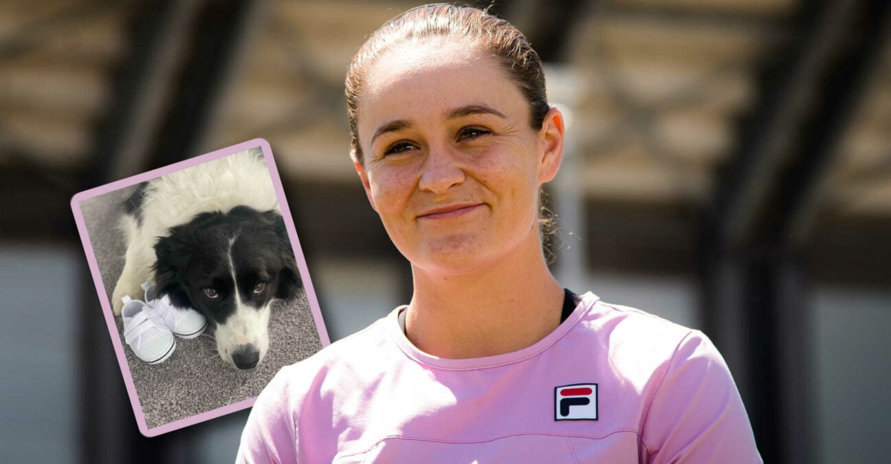 Ash Barty enceinte
