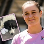 Ash Barty enceinte