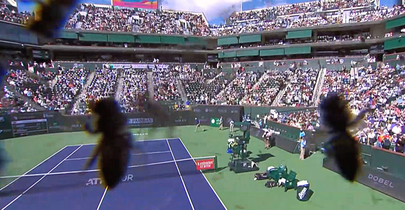 Indian Wells 2024