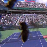 Indian Wells 2024