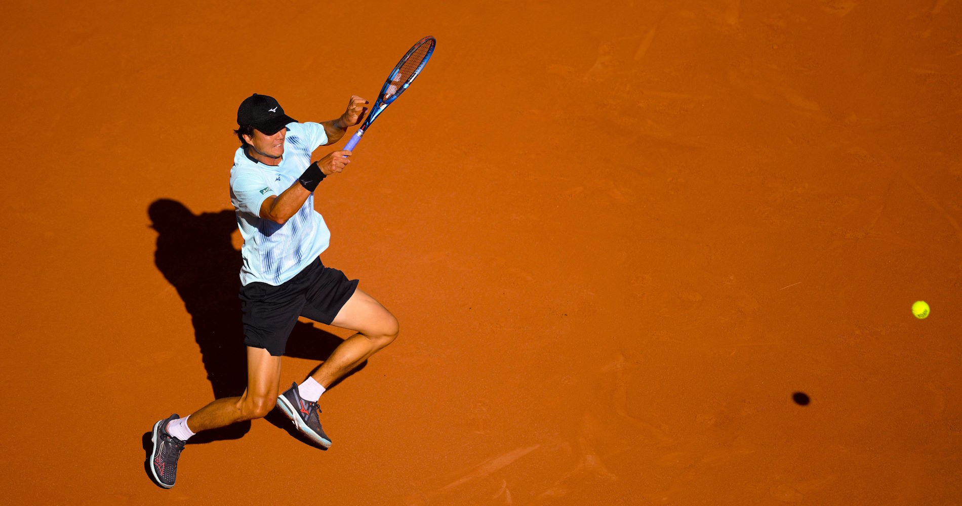 Taro Daniel