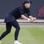 Anhelina Kalinina - Action Plus / Panoramic