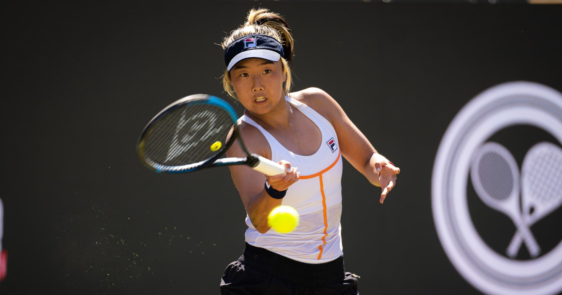 Ann Li
